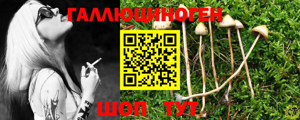 Галлюциногенные грибы Psilocybine cubensis  Вход с VPN  Дербент 